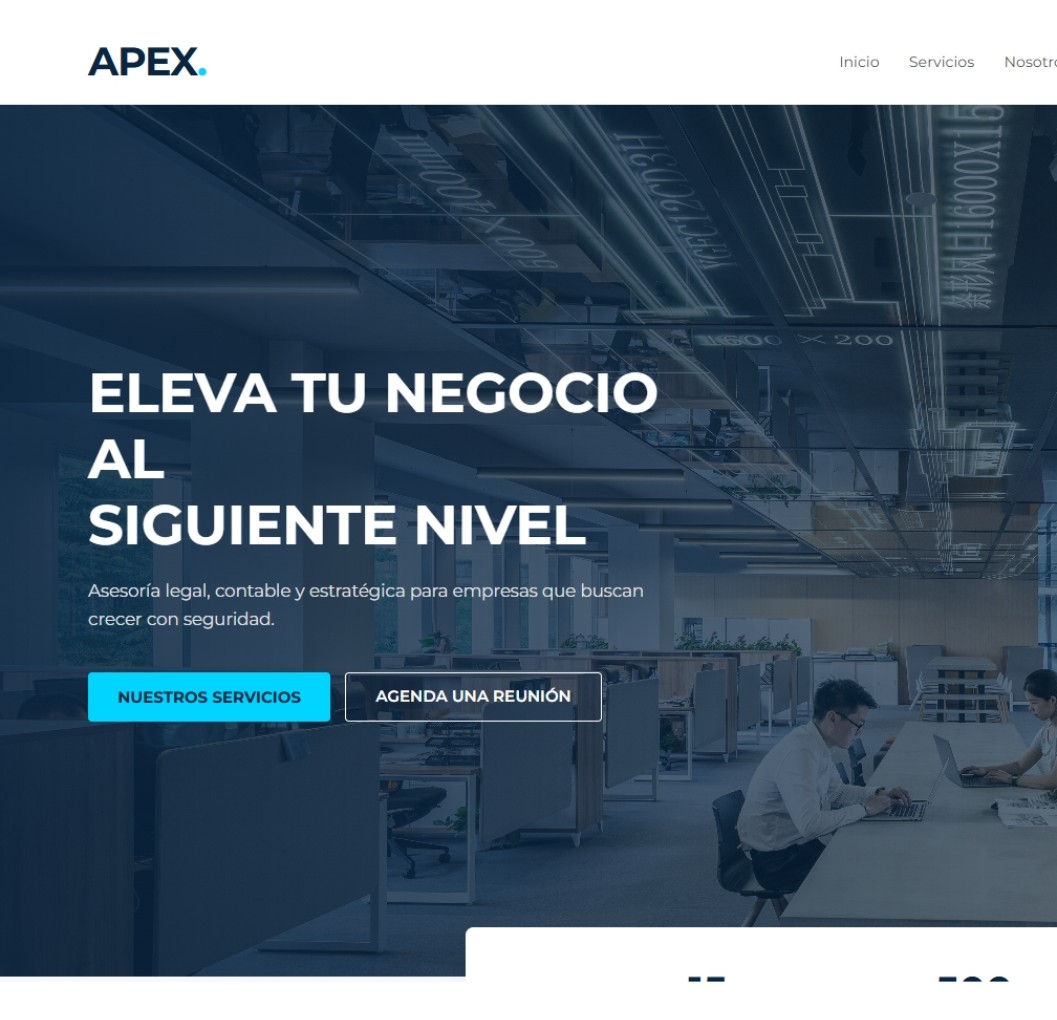 Data Visualization Capability